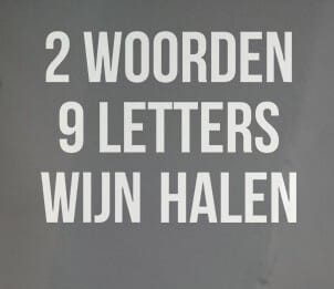 T-Shirt 2 woorden 9 letters