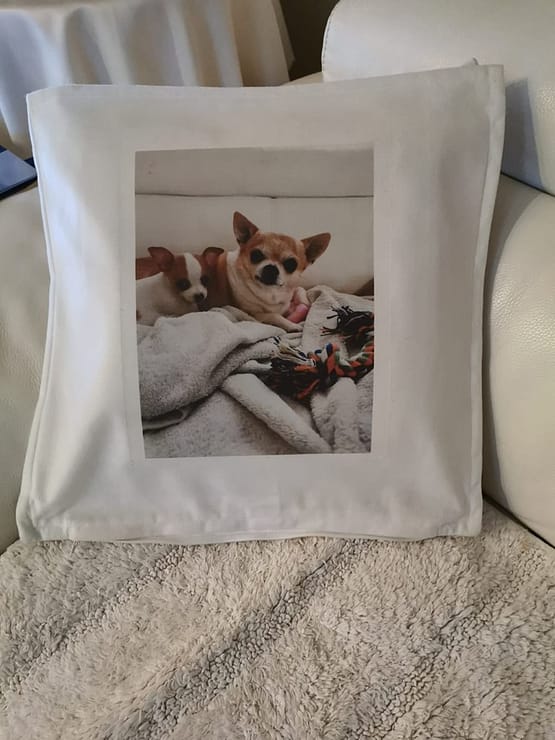 kussen chihuahua leuk voor op de bank
