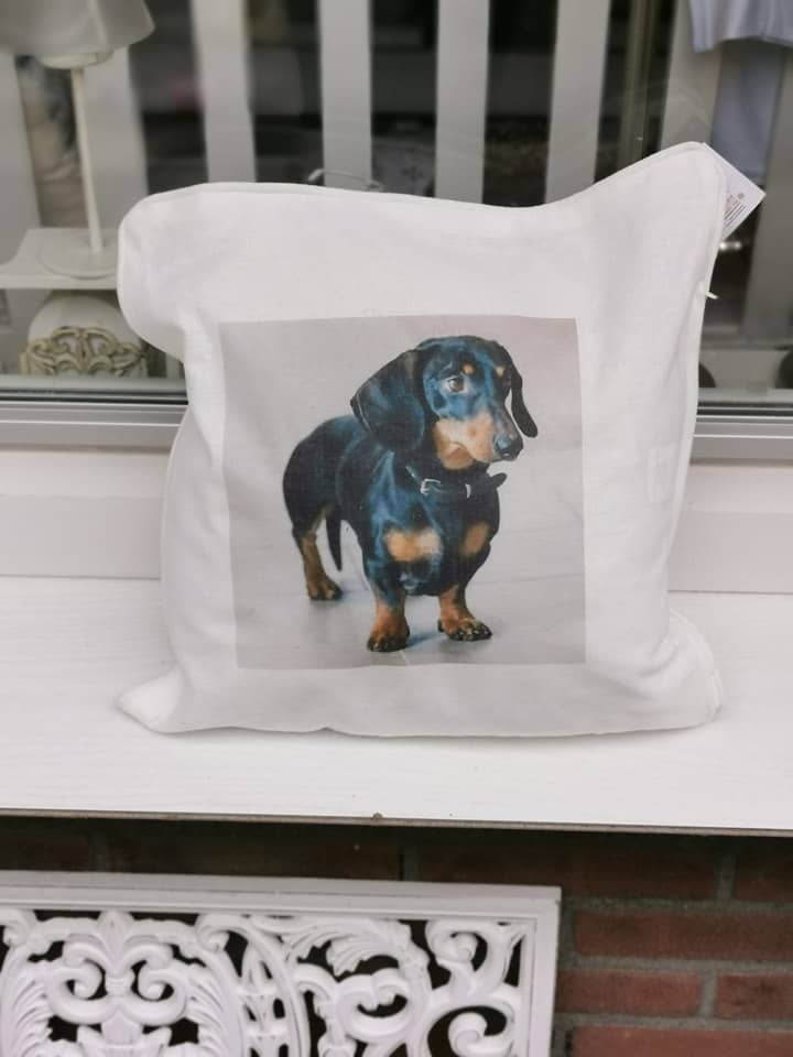 kussen chihuahua leuk voor op de bank
